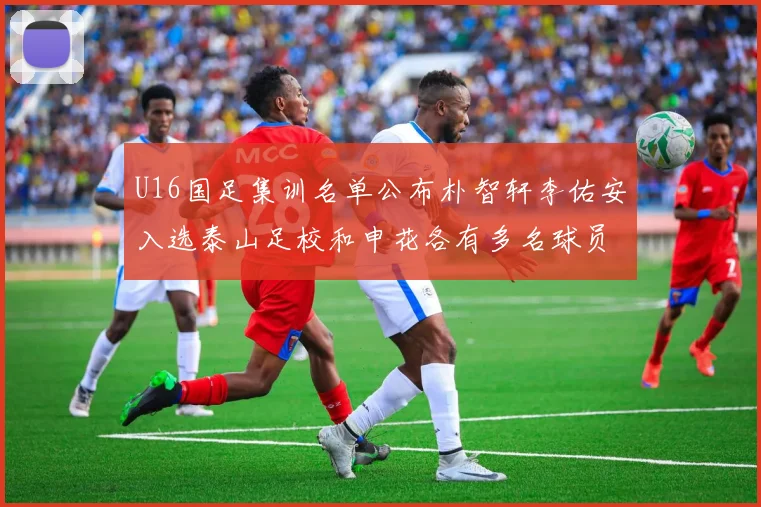 U16国足集训名单公布朴智轩李佑安入选泰山足校和申花各有多名球员参与